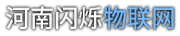 河南闪烁物联网有限责任公司
